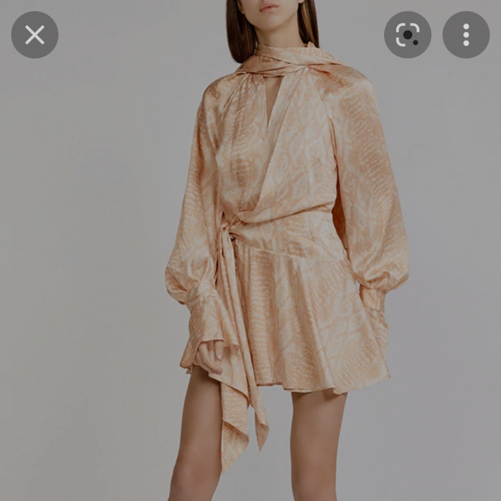 Acler Dress